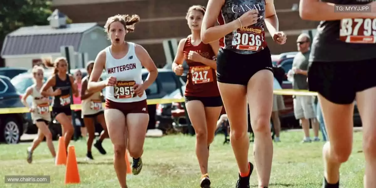 📺 一键直击，赛事瞬间零时差！